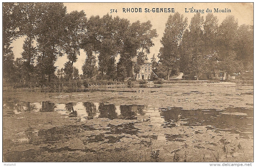 RHODE SAINT GENESE-SINT GENESIUS RODE-L'ETANG DU MOULIN - Rhode-St-Genèse - St-Genesius-Rode