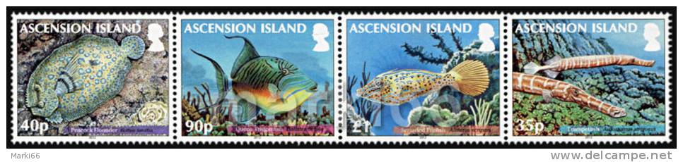Ascension Island - 2012 - Reef Fish, Part 2 - Mint Se-tenant Stamp Strip - Ascension (Ile De L')