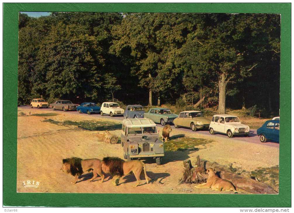 78   THOIRY  Lions En Liberté Dans La Réserve Africaine Du Château De ThoiryCPM Année 1960  Voitures D'époque - Thoiry