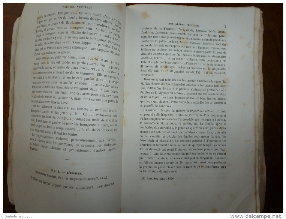 1861 Les INSECTES NUISIBLES Arbres Fruitiers Et Plantes Par Ch. Goureau Sté Entomologique France (dédicace De L'auteur) - Livres Dédicacés