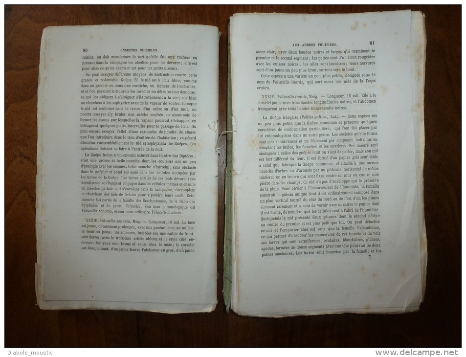 1861 Les INSECTES NUISIBLES Arbres Fruitiers Et Plantes Par Ch. Goureau Sté Entomologique France (dédicace De L'auteur) - Livres Dédicacés