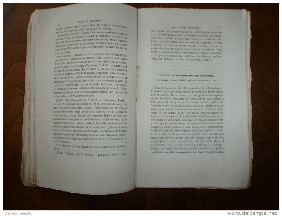 1861 Les INSECTES NUISIBLES Arbres Fruitiers Et Plantes Par Ch. Goureau Sté Entomologique France (dédicace De L'auteur) - Livres Dédicacés