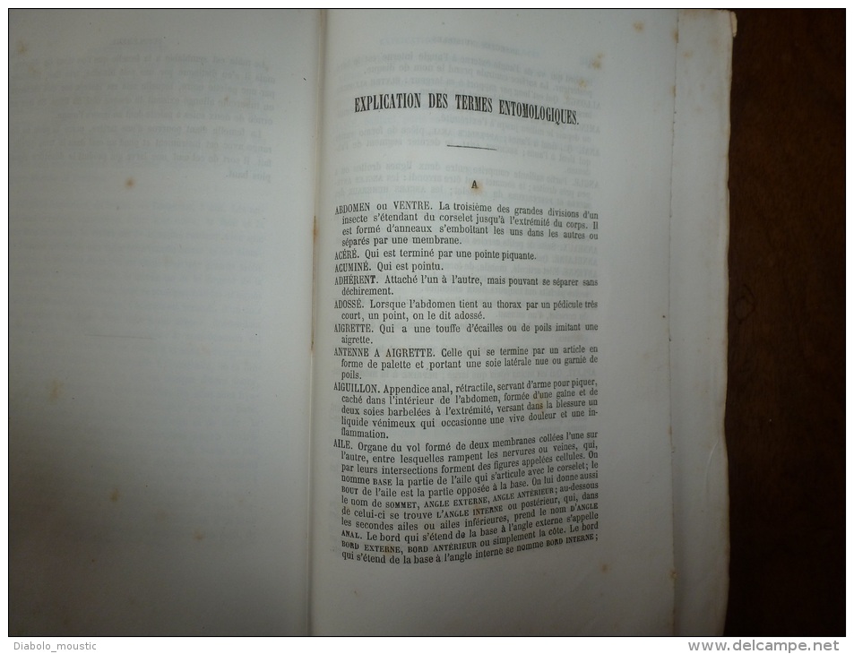 1861 Les INSECTES NUISIBLES arbres fruitiers et plantes par Ch. Goureau Sté Entomologique France (dédicace de l'auteur)