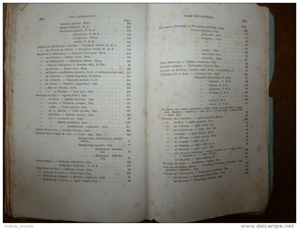 1861 Les INSECTES NUISIBLES arbres fruitiers et plantes par Ch. Goureau Sté Entomologique France (dédicace de l'auteur)
