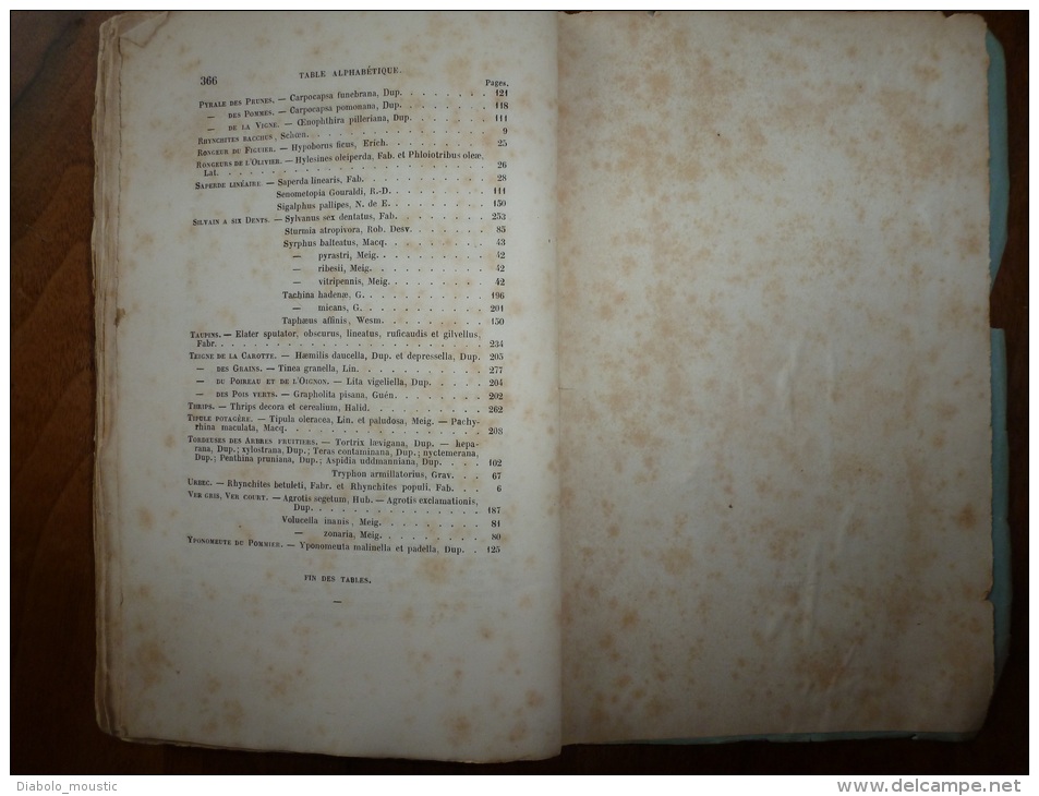 1861 Les INSECTES NUISIBLES arbres fruitiers et plantes par Ch. Goureau Sté Entomologique France (dédicace de l'auteur)