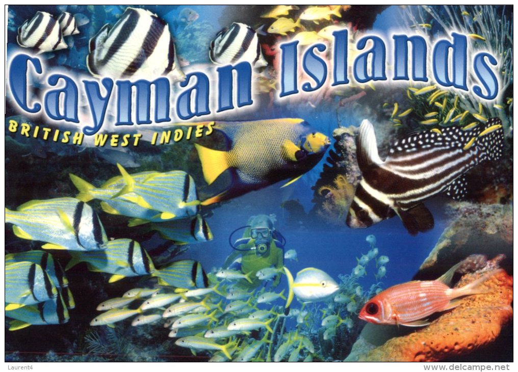 (200) Cayman Island - Multiview Underwater - Caimán (Islas)