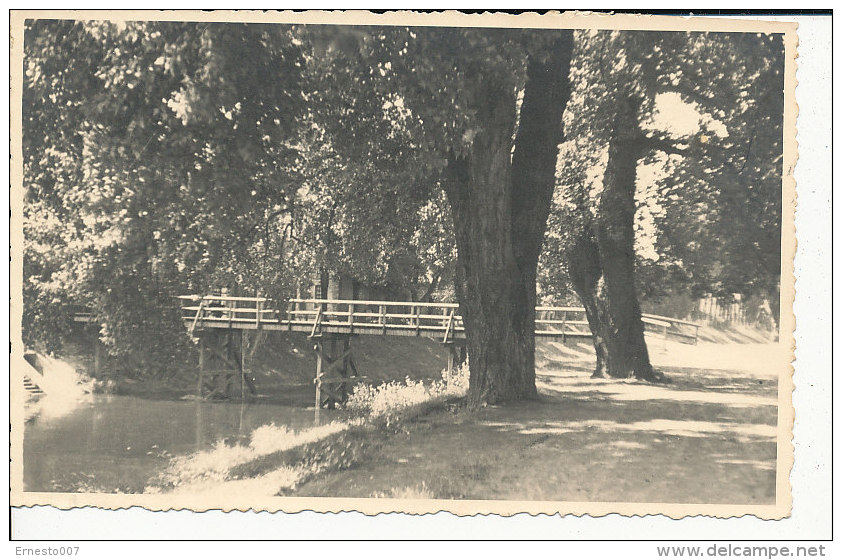 PK-CP Deutschland, Holzbrücke Im Wald, Gebraucht, Siehe Bilder!*) - To Identify