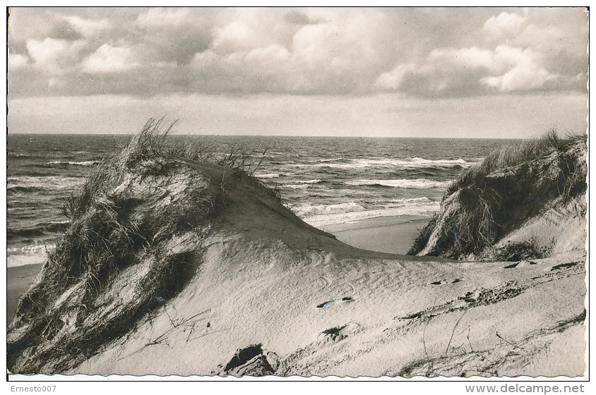 PK-CP Deutschland, Insel Sylt Blick über Düne Und Meer, Gebraucht, Siehe Bilder!*) - Sylt