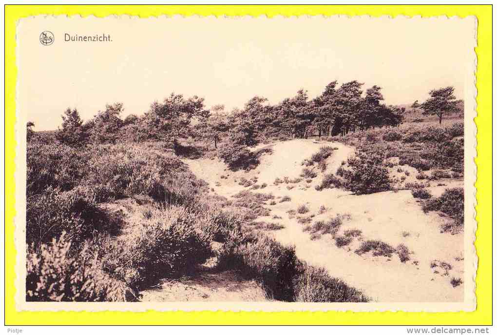 * Kalmthout (Antwerpen - Anvers) * (Nels, Uitg Fr. Goossens, Achterbroek) Duinenzicht, Duinen, Dunes, CPA, Rare - Kalmthout