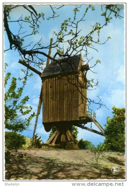 GELRODE Bij Aarschot (Vlaams-Brabant) - Molen/moulin - De Moedermeule In Verval Vóór De Restauratie Van 1976. TOP ! - Aarschot