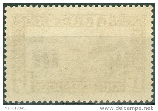 MAROCCO, MAROC, COLONIA FRANCESE, FRENCH COLONY, 1933,  NUOVO,  (MNG), Scott 124, YT 128, Michel 93 - Unused Stamps