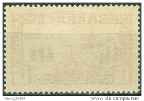 MAROCCO, MAROC, COLONIA FRANCESE, FRENCH COLONY, 1933,  NUOVO,  (MNG), Scott 124, YT 128, Michel 93 - Neufs