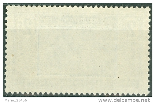 MAURITANIA, COLONIA FRANCESE, FRENCH COLONY, 1913-1938, FRANCOBOLLO NUOVO (MNG), Scott 19 - Unused Stamps