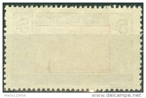 MAURITANIA, COLONIA FRANCESE, FRENCH COLONY, 1922, FRANCOBOLLO NUOVO (MNG), Scott 22 - Unused Stamps