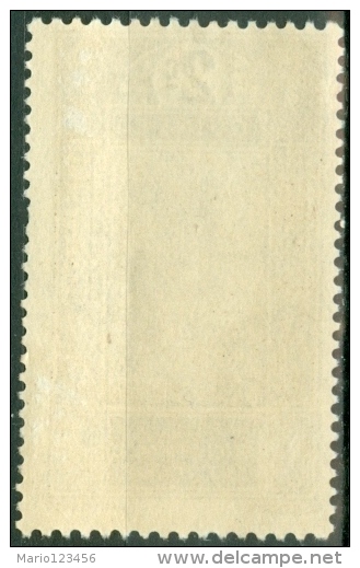 GUINEA FRANCESE, FRENCH GUINEA, COLONIA FRANCESE, FRENCH COLONY, 1913-1933,  NUOVO, SENZA GOMMA (MNG), Scott 64 - Unused Stamps