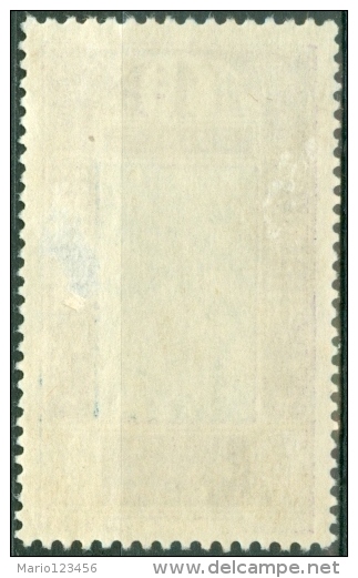 GUINEA FRANCESE, FRENCH GUINEA, COLONIA FRANCESE, FRENCH COLONY, 1913-1933,  NUOVO, SENZA GOMMA (MNG), Scott 63 - Unused Stamps