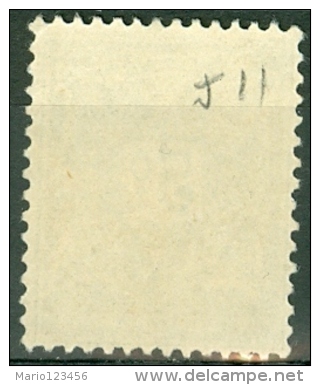 ALTO VOLTA, COLONIA FRANCESE, FRENCH COLONY, 1928, FRANCOBOLLO NUOVO (MNG), Michel P11 - Unused Stamps