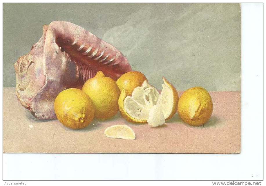 LIMONES JUNTO A UN PESCADO  OHL - 1900-1949