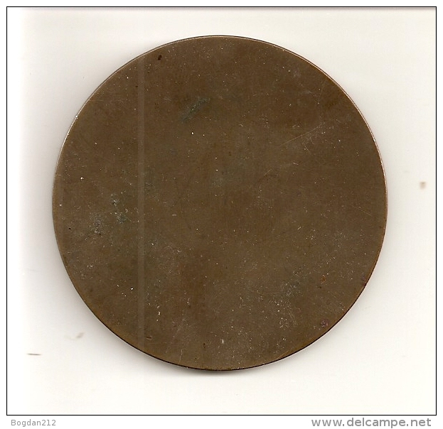 SCHILLER - 1909, Bronze, Gew.63 Gr.  2 Scans - Adel