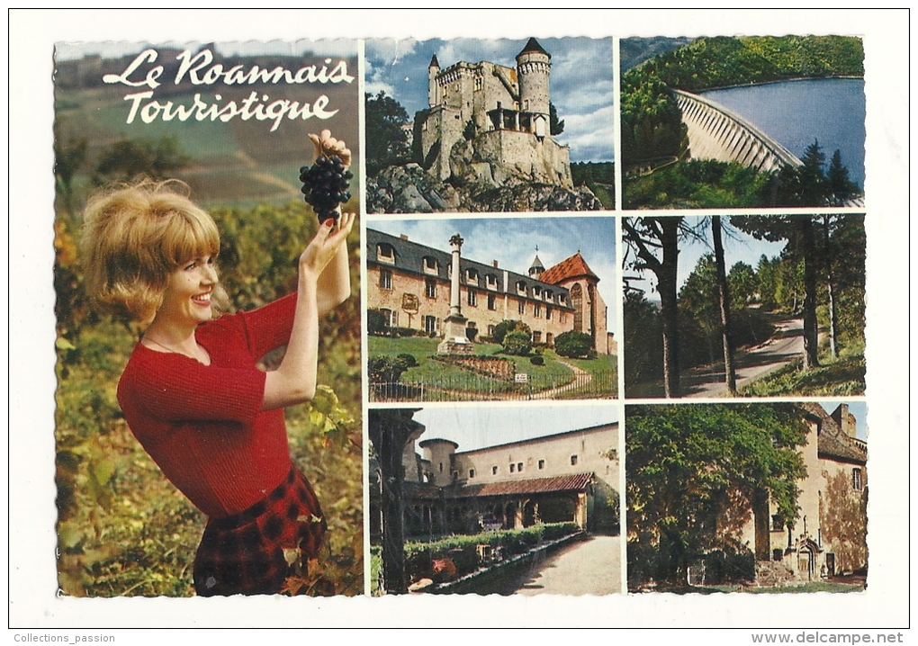 Cp, Région, Rhône Alpes, Le Roannais, Multi-Vues, écrite 1971 - Rhône-Alpes