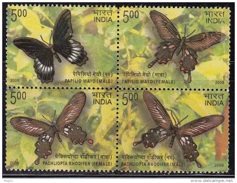 India Used 2008 Se-tenent Block, Butterflies, Butterfly, Insect - Used Stamps