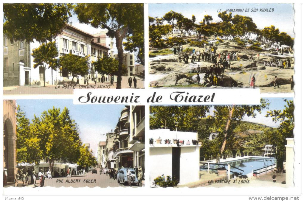 CPSM TIARET (Algérie) - Souvenir De....4 Vues - Tiaret