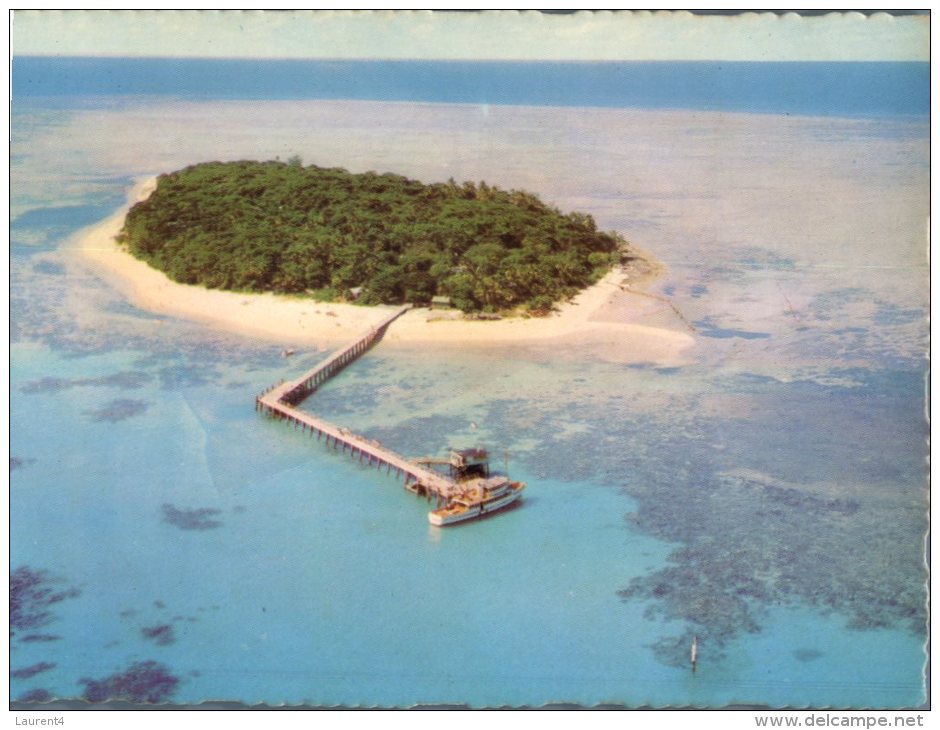 (302) Australia - QLD - Green Island - Great Barrier Reef