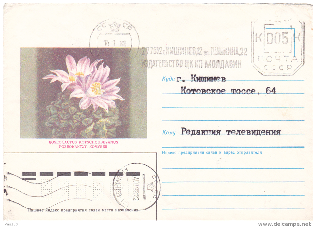 CACTUS, ROSEOCACTUS,1988,COVER STATIONERY,SEND TO MAIL,RUSSIE. - Sukkulenten