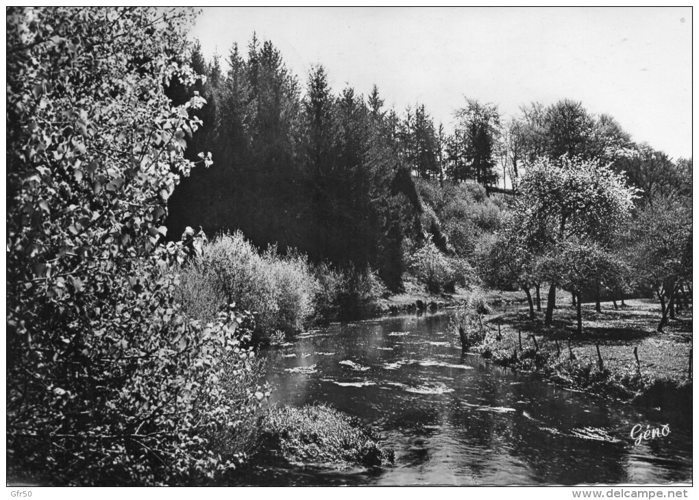 CPSM  -   SAINT - FRAIMBAULT - Sur - PISSE  (61)  Le Pont Des Planches  - (Prise De Vue Différente ) - Autres & Non Classés