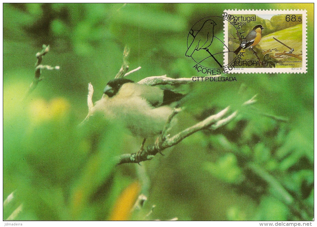 Portugal Bird Maximum Card - Storia Postale