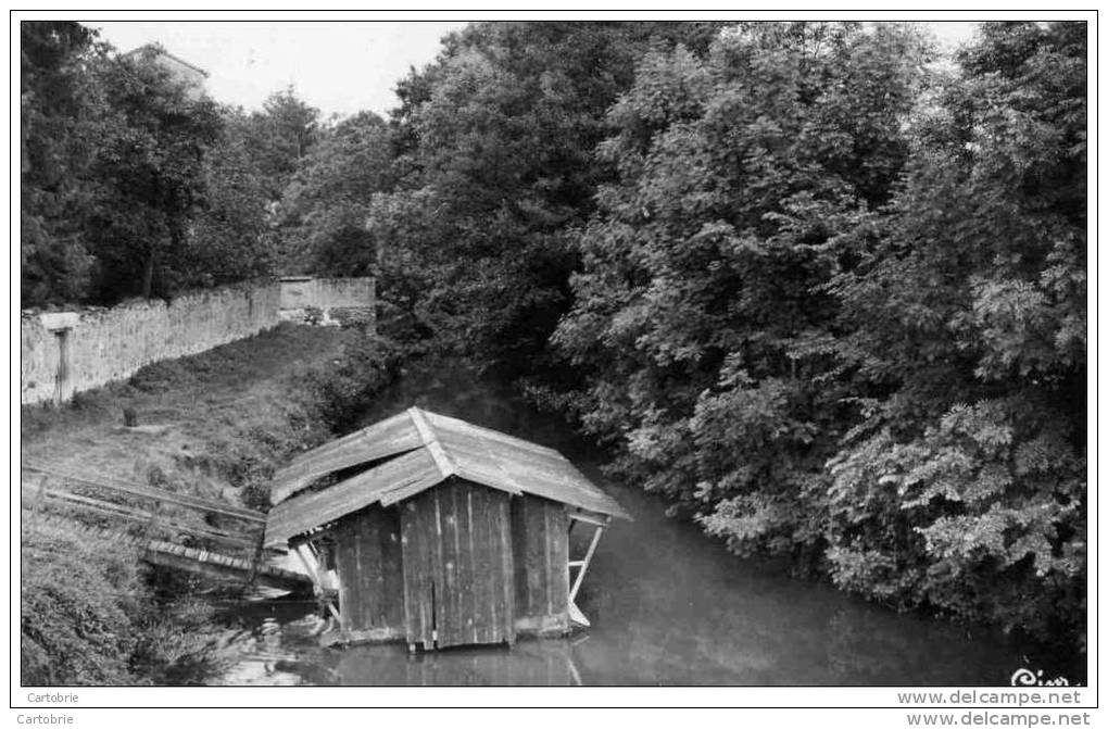 77 - VILLENEUVE-SUR-BELLOT - Bateau-Lavoir - CPSM - Autres & Non Classés