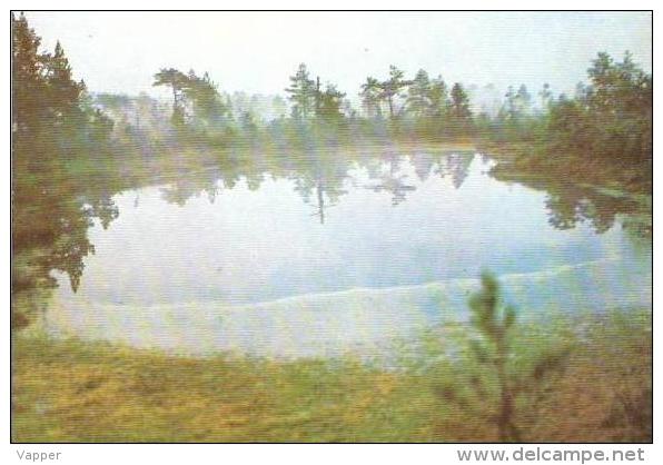 Estonia Postcard  The Fog Of Laukasoo    L 608 - Estonie