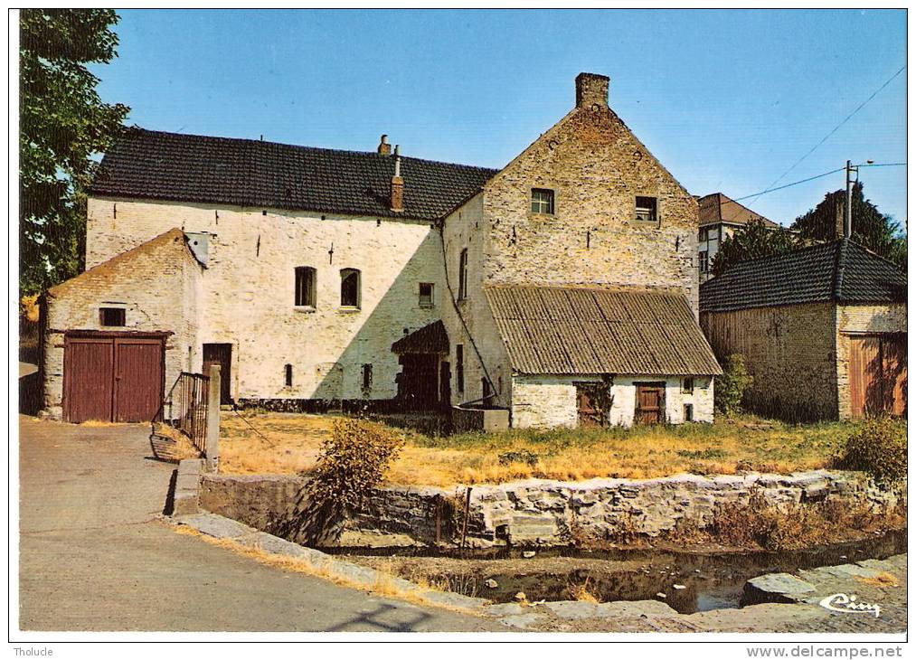 Feluy (Seneffe)- Le Moulin - Seneffe