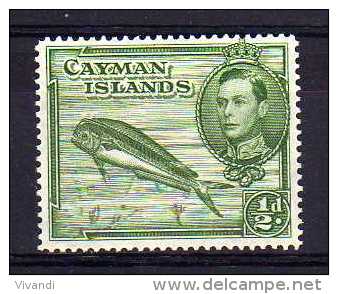 Cayman Islands - 1943 - ½d Definitive (Perf 14) - MH - Kaaiman Eilanden