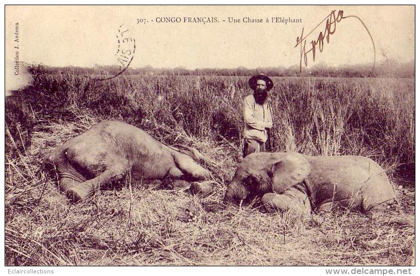 Congo      Une Chasse A L'éléphant - Französisch-Kongo