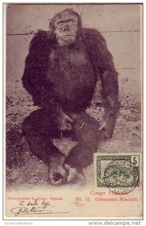 Congo  Français   Un Chimpanzé - Französisch-Kongo