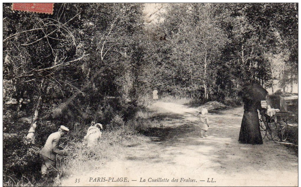 62 Le Touquet Paris Plage, La Cueillette Des Fraises - Le Touquet