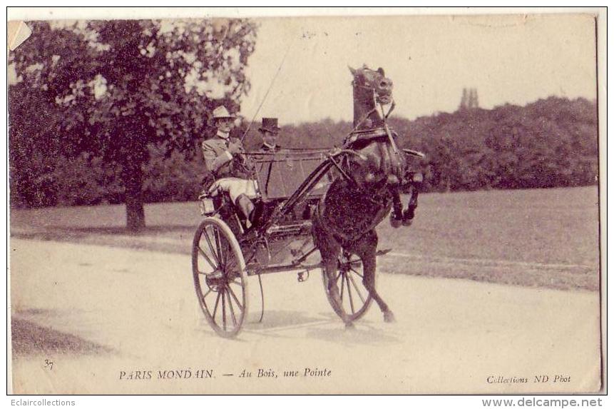 Paris  Mondain    Au Bois  Attelage Cheval        (petit Pli) - Lots, Séries, Collections