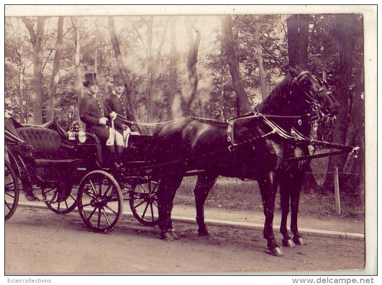 Paris    Fiacre  Attelage Cheval  (Carte Photo) - Lots, Séries, Collections