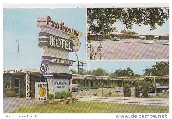 South Carolina Spartanburg Peach Bloosom Motel - Spartanburg