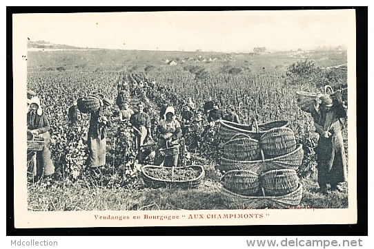 FOLKLORE BOURGOGNE / Vendanges, "Aux Champimonts" / - Bourgogne