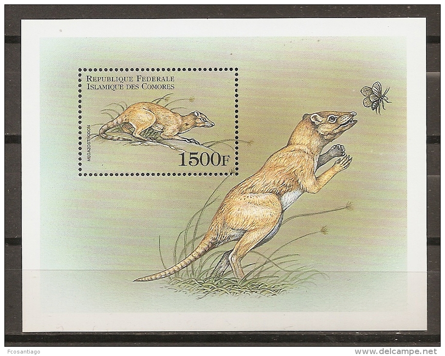 ANIMALES - COMORES 1999 - Yvert #H90 - MNH ** - Roedores