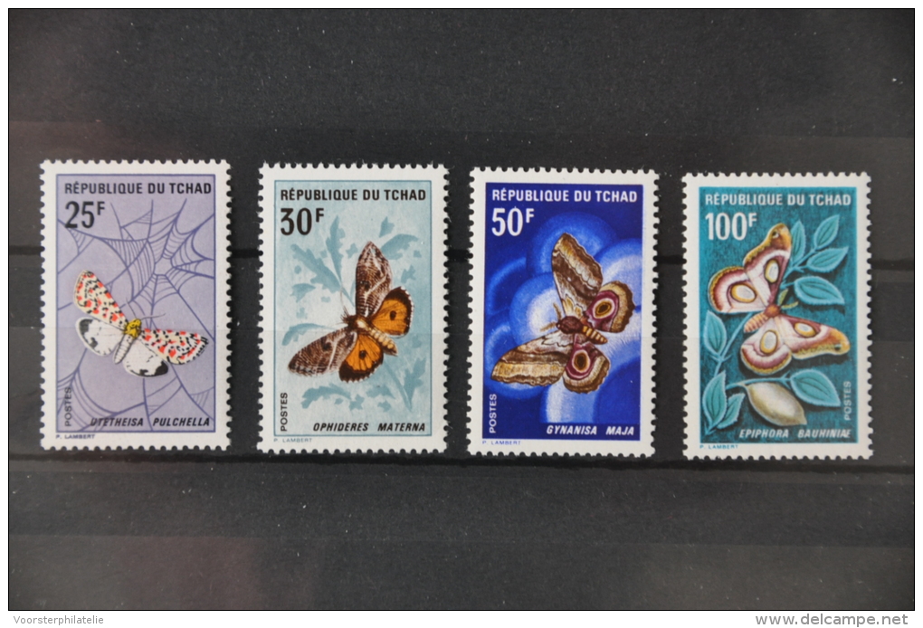 P 113 ++ TSJAAD REPUBLIQUE DU TCHAD VLINDERS BUTTERFLIES PAPILLON ++ NEUF MNH ** - Tsjaad (1960-...)