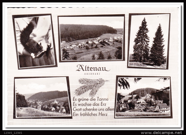 Altenau - Altenau