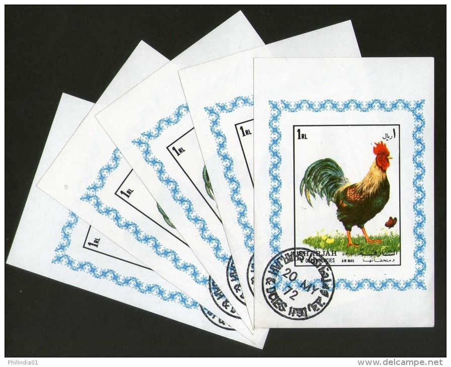 Sharjah - UAE Cock Bird Pet Animals Fauna M/s Cancelled X 5 # 1307 - Coucous, Touracos