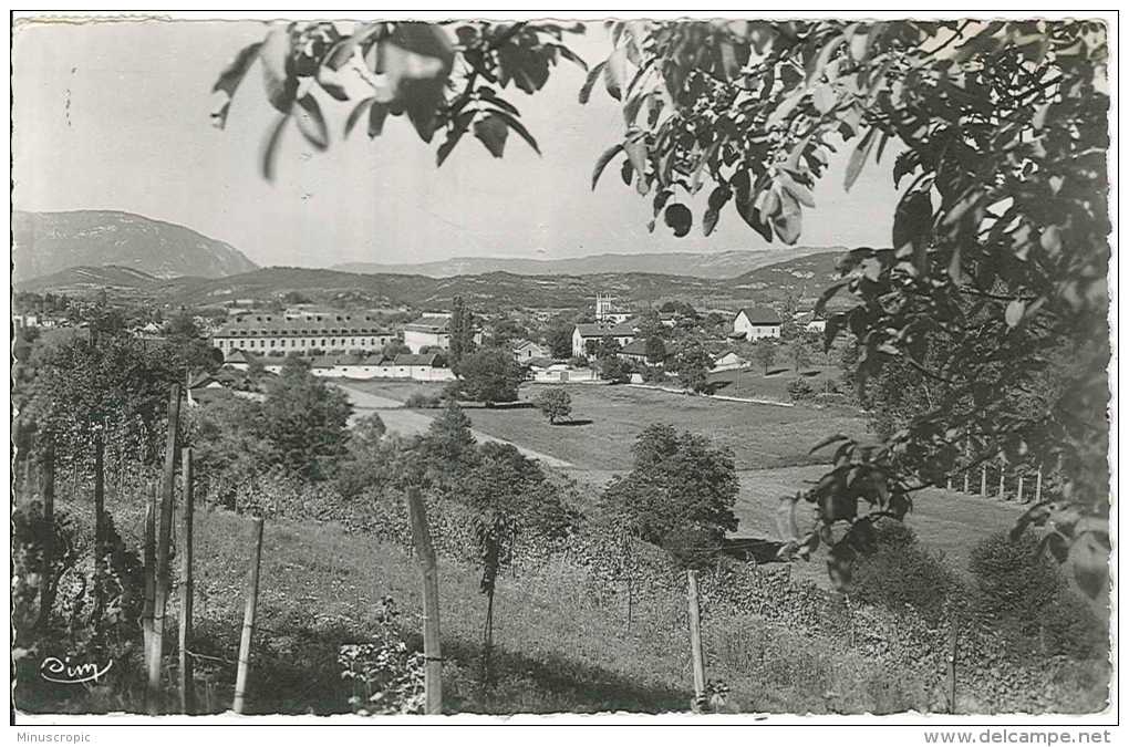 CPSM 01 - Belley - Vue Générale - Belley