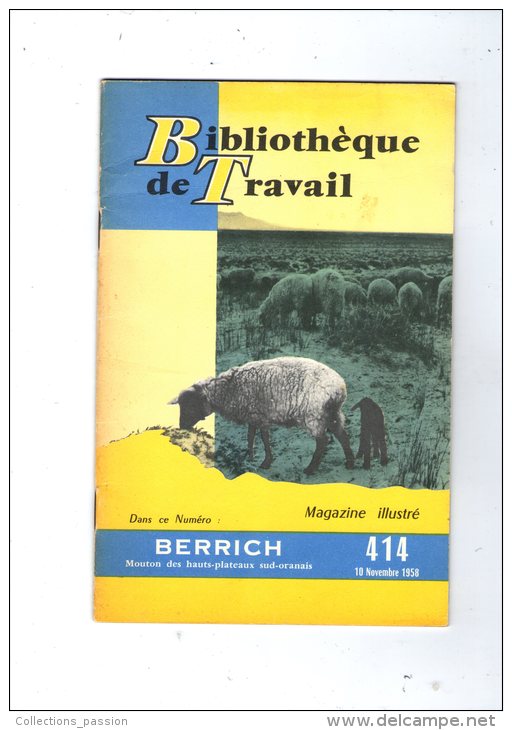 Annimaux , MOUTON Des Hauts Plateaux Sud-Oranais : Le BERRICH , 24 Pages , Illustrations , Photos , Frais Fr: 1.60€ - Animaux