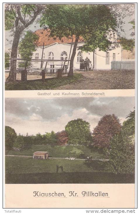 Kiauschen Kr Pilkallen Gasthof Kaufmann Schneidereit Dobrowolsk 6.7.1925 Gelaufen Color - Ostpreussen