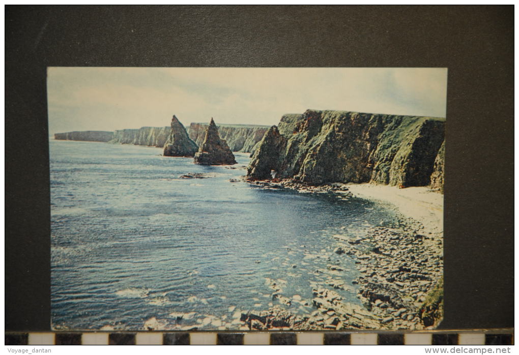 ECOSSE    CAITHNESS    SEA STAKS NEAR DUNCANSBY   NON VOYAGEE - Caithness