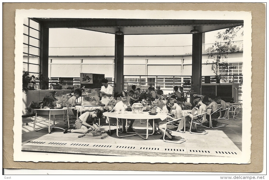 92   SURESNES   ECOLE DE PLEIN  AIR      UNE  CLASSE - Suresnes